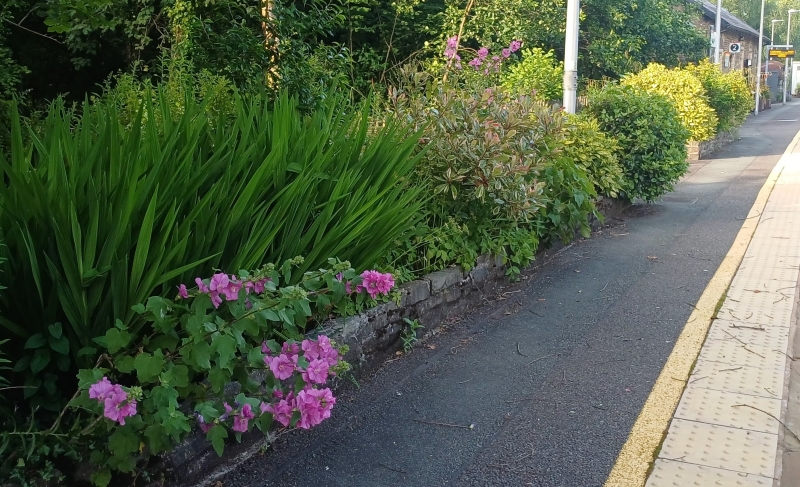 Llanwrtyd Wells Railway Station